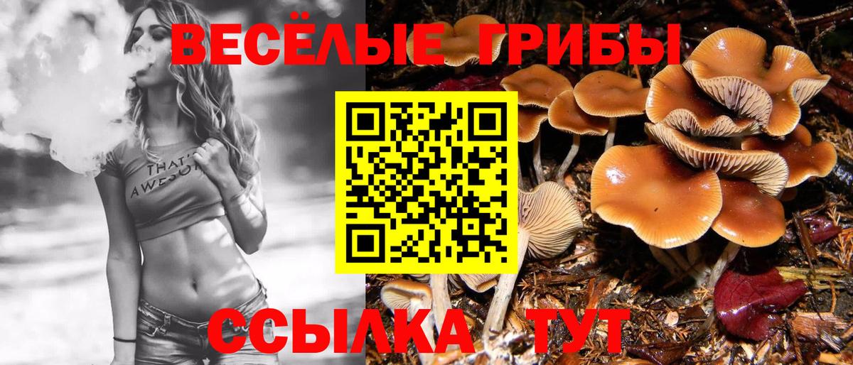 Псилоцибиновые грибы ЛСД  Вход с VPN  Ликино-Дулёво 